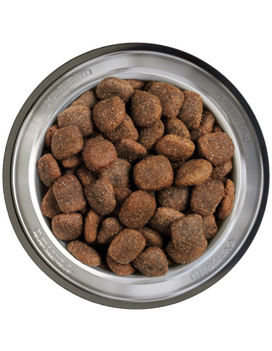 BELCANDO ADULT GF OCEAN 12,5 KG