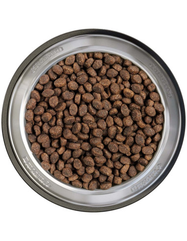 BELCANDO PUPPY GRAVY 12,5 KG