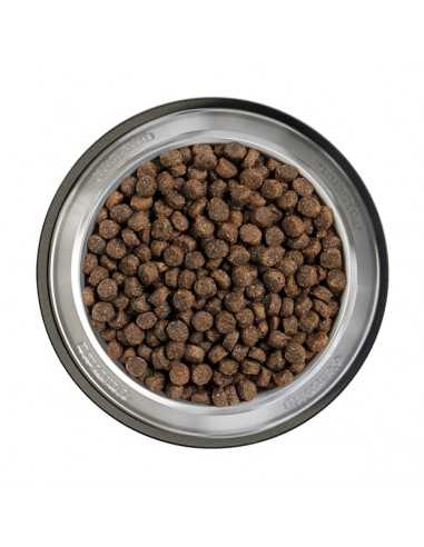 belcando-finest-gf-salmon-125-