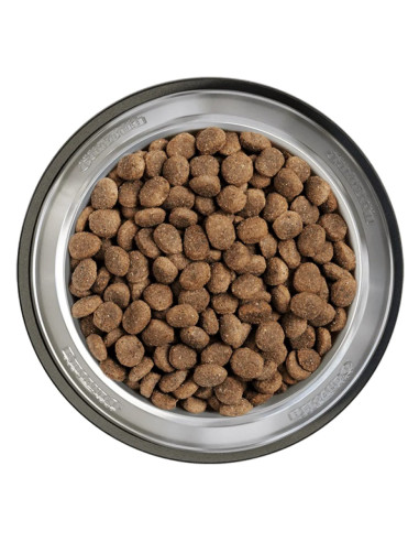 BELCANDO FINEST CROC 12,5 KG