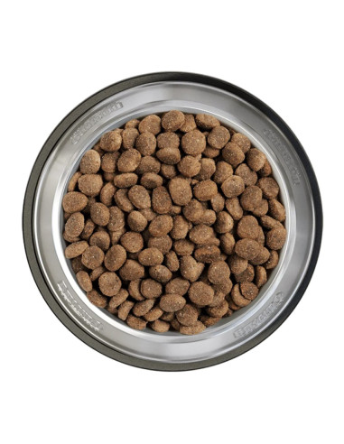 BELCANDO FINEST LIGHT 12,5 KG
