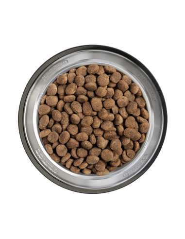 BELCANDO FINEST GF SENIOR 12,5 KG