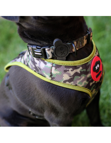 BRNX COLLAR S CAMUFLAJE 25-35 CM