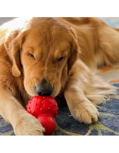 NYLABONE STRONG CHEW CONO 3 EN 1 RELLENABLE CONGELABLE SABOR TOCINO TALLA M