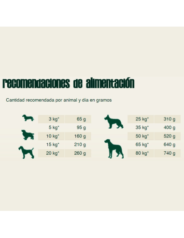 BEWIDOG BASIC 25 KG