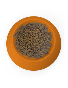 SPECIAL CARE GATO 10,1KG 2