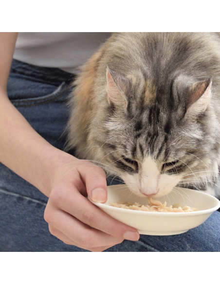 CHURU GATO STEW SABOR POLLO Y ATUN 40G 6 UNID