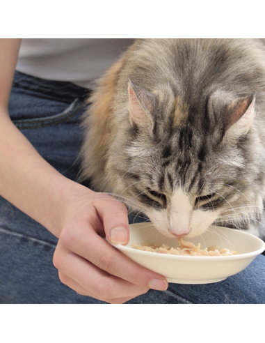 CHURU GATO BROTH SABOR POLLO Y OSTION 40G 6 UNID