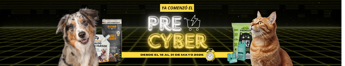 Aprovecha nuestro Pre Cyber hasta el 31 de mayo 2026.